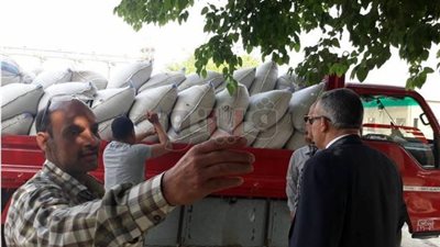 وكيل «زراعة بني سويف» يتفقد شون وصوامع القمح (صور)