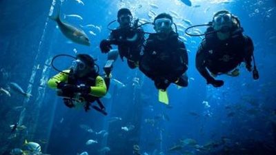 السياحة تعلن ضوابط تنفيذ أنشطة الغوص الابتدائي بجنوب سيناء