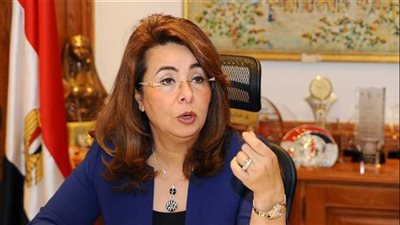 وزيرة التضامن: القطاع الخاص يلعب دورا مهما في الحماية الاجتماعية