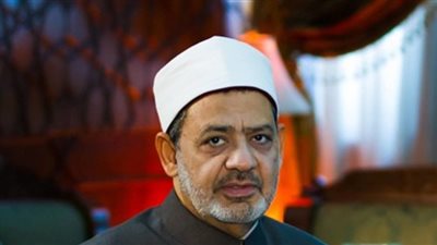 الأمين العام لمجلس الكنائس العالمي: شيخ الأزهر قامة كبيرة