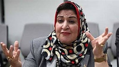 شادية ثابت تقترح تمويل أسطول مصري حديث لصيد الأسماك