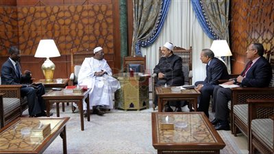 الطيب: الأزهر حريص على تعزيز التعاون مع القارة الأفريقية