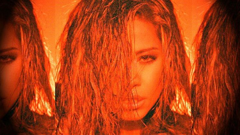 الفنانة شيرين عبد