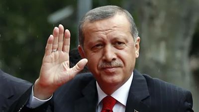 أردوغان: إجراء انتخابات رئاسية مبكرة بعد الاستفتاء غير وارد