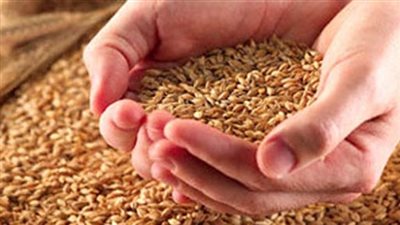 صناعة الحبوب: حظر تصدير الأرز قرار سيادي