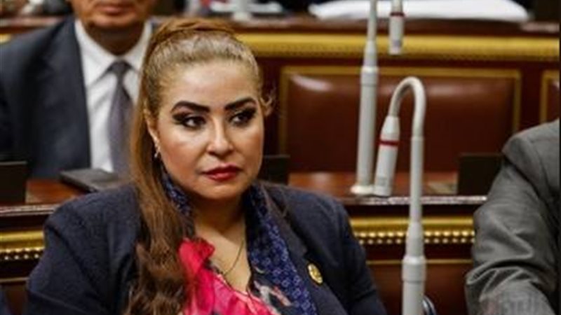 النائبة غادة عجمي،