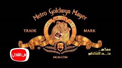 بالفيديو.. الفيشاوي: أطلقت اسم «الكلب الكريستال» على شركتي لحبي فيه