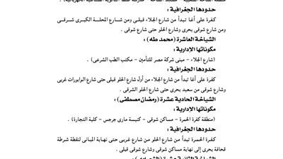 الداخلية تبعد صينيًا وفلسطينيًا خارج البلاد لأسباب تتعلق بالصالح العام