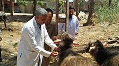 قوافل بيطرية لعلاج الثروة الحيوانية بقرى الشرقية والإسماعيلية (صور)