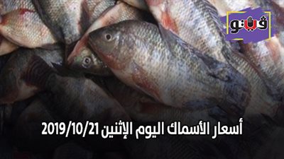 أسعار الأسماك اليوم الإثنين 2019/10/21.. وكيلو البلطي بـ 28 جنيها