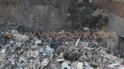 بالصور.. مدينة طوخ تشن حملة لتطهير الترع