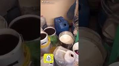 مصنع عسل من زيت السيارات بالسعودية (فيديو)