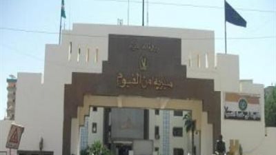 مزارعان يصيبان محام بارتجاج في المخ في الفيوم