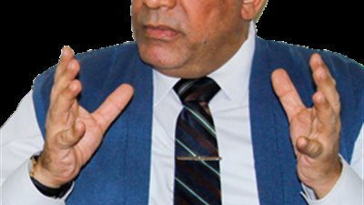 الخبير الاقتصادى د.عبد الخالق فاروق: حب المصريين للسيسي يتآكل.. وأولوياته للتنمية خاطئة