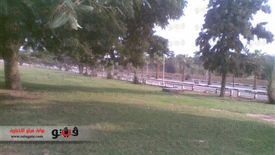 بالصور.. هدوء بشوارع الإسماعيلية ثالث أيام عيد الأضحى