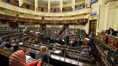 البرلمان يوافق مبدئيا على تعديل قانون إنشاء جامعة زويل