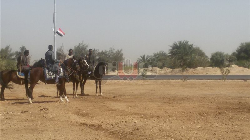 فيتو