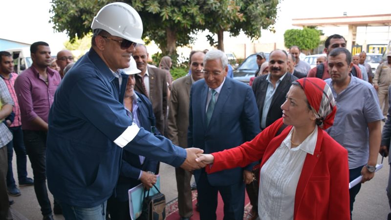فيتو