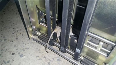 بالصور.. شاهد ماذا فعل فأر تسلل إلى جهاز صراف آلي بالسعودية