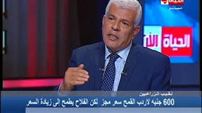 الزراعيين: 3 ملايين و260 ألف فدان حجم أراضي القمح هذا العام (فيديو)