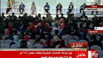 بالفيديو.. السيسي يقاطع نائب وزير المالية: «وضح كلامك»