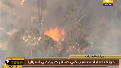بالفيديو.. حرائق الغابات تتسبب في خسائر كبيرة في أستراليا