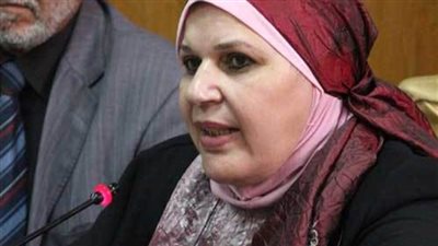 مايسة عطوة تنتقد أداء قطاع التفتيش بـ