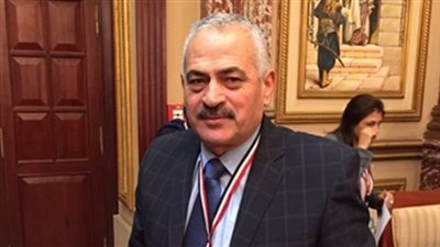 نائب برلماني: عقوبات قانون التظاهر كافية