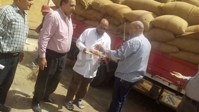 توريد 1492 طن قمح لشون دمياط (صور)