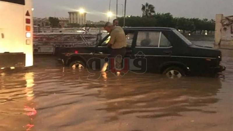 فيتو
