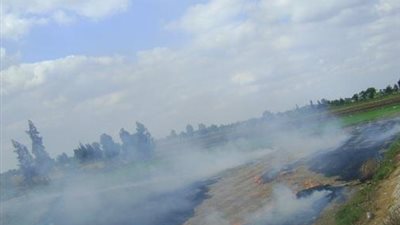 سحابة دخان قش الأرز تغطي سماء رأس البر