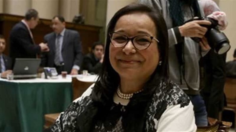  النائب أنيسة حسونة