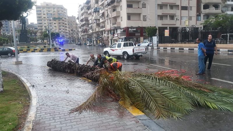 فيتو