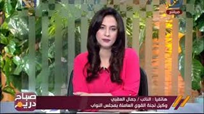 برلماني: نسعى لرفع الحد الأدنى للأجور إلى 2500 جنيه (فيديو)