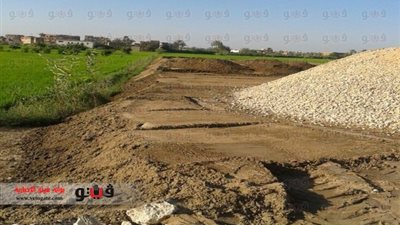 بالصور.. تبوير 20 فدان خلال إجازة عيد الفطر بدمياط