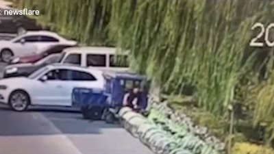 نهاية صادمة لسيارة عائلة حاول سائقها التوقف بالقرب من نهر (فيديو)