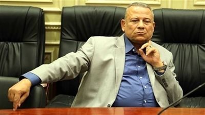 نائب يحذر من إهدار المال العام بمحطة مياه أجا بالدقهلية