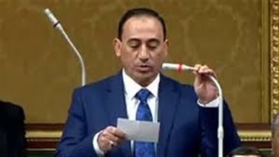 نائب يطالب بإلغاء وزارة البيئة لفشلها في مواجهة أزمة القمامة