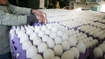 اتفاق بين منتجى بيض المائدة على تثبيت الأسعار عند 26 جنيها