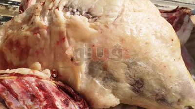 «تموين الشرقية» تتحفظ على لحوم فاسدة (صور)