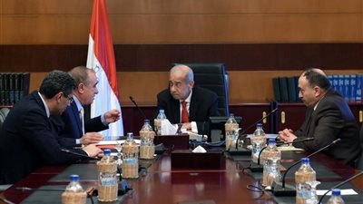 شريف إسماعيل: ٢٧٥ مليار جنيه لمشروعات تنمية سيناء