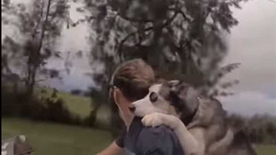 رجل يصطحب كلبه بشكل طريف لرحلة بحرية (فيديو وصور)