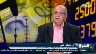 خبير زراعة: لا يجب السماح بدخول القمح المصاب بـ «الإرجوت»