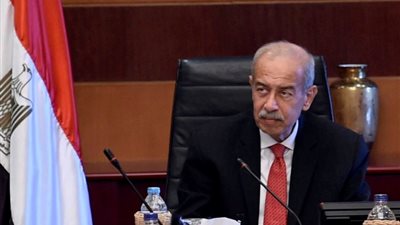 الحكومة تبحث نقل مصانع بورسعيد من الكتلة السكنية