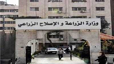 أبرز قرارات 