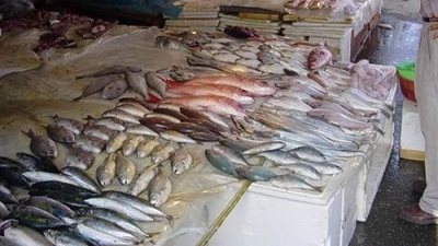 مكرونة سويسى ترتفع إلى 38 جنيها بسوق العبور.. اليوم