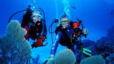السياحة: 4 اشتراطات للتفتيش على مراكز الغوص.. تعرف عليها