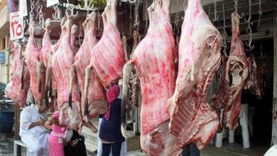 نقيب الجزارين: كيلو البتلو يسجل 160 جنيهًا والكندوز 125