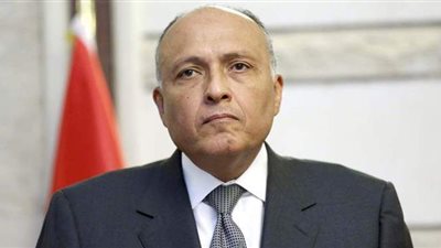 مصر تدين استمرار محاولات استهداف السعودية من قبل الحوثيين