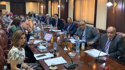 الأعلى للإعلام يحقق مع مواقع وصحف نشرت قضايا أخلاقية تسيء للمجتمع